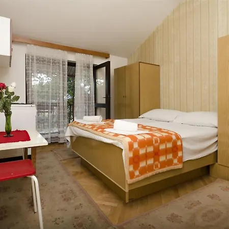 Guest house Summer Tree 3*