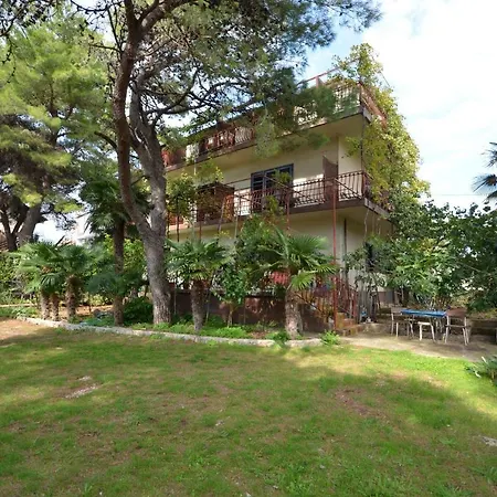 Guest house Summer Tree 3*