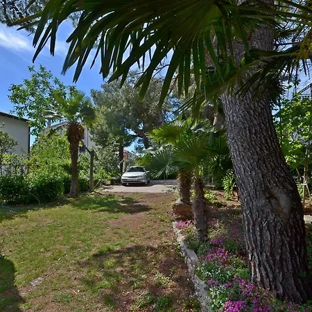 Guest house Summer Tree 3*