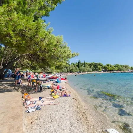 Guest house Summer Tree Vodice