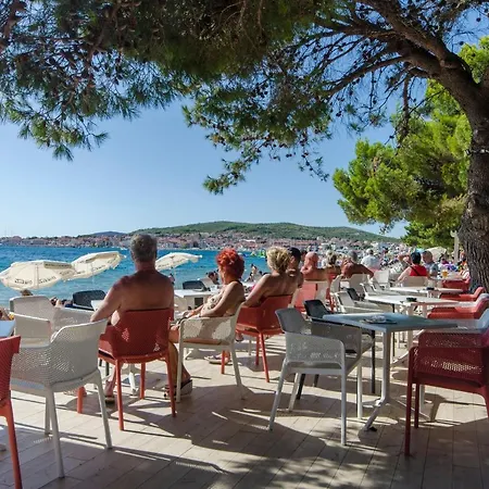 Summer Tree Vodice